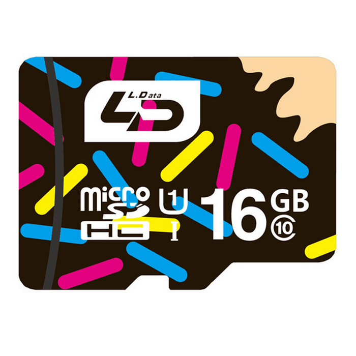 16GB micro SD card Class 10 SDHC