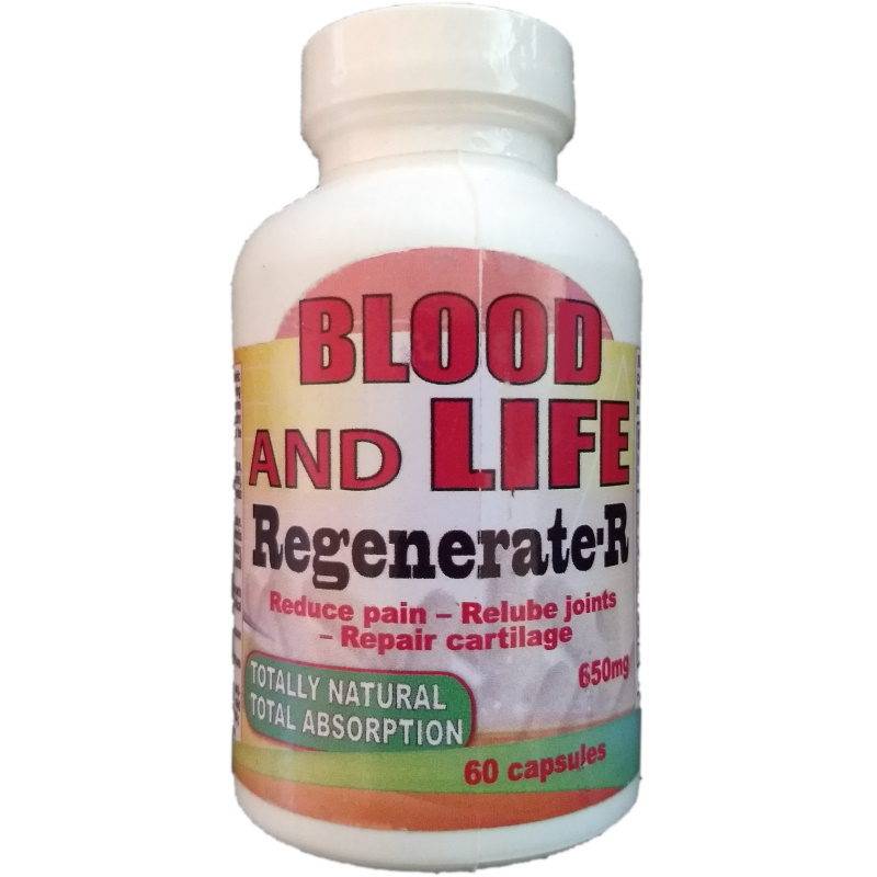 Blood and Life - Regenerate R