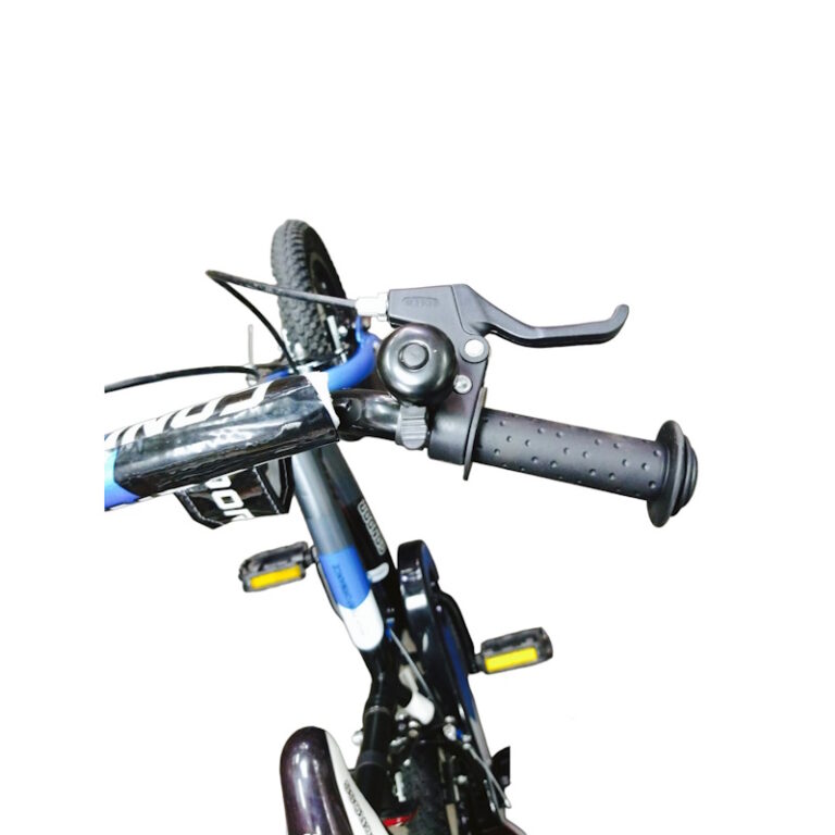 Condor 12inch Bicycle with Training Wheels for Children/ Kids - L.C ...