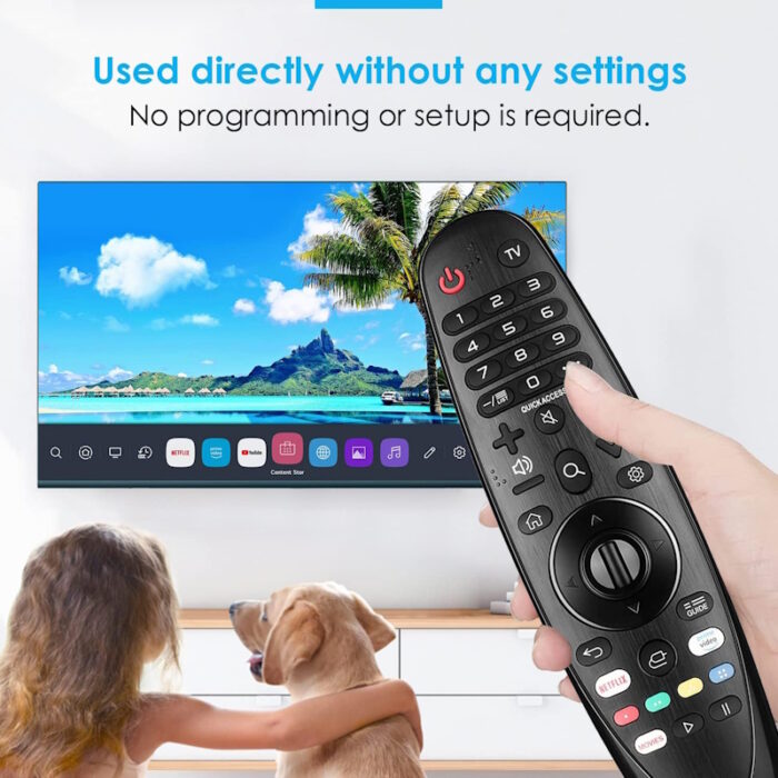 LG TV Remote Replacement 